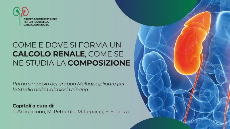Come e dove si forma un calcolo renale. Come se ne studia la composizione